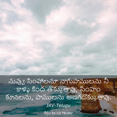 Picture 03 - కీర్తన 91:13 TELIRV - నువ్వు సింహాలనూ - Bible Verse Picture
