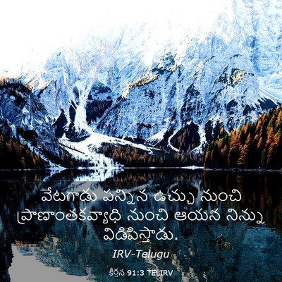 Picture 03 - కీర్తన 91:3 TELIRV - వేటగాడు పన్నిన - Bible Verse Picture