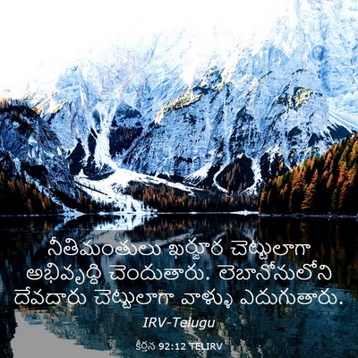Picture 03 - కీర్తన 92:12 TELIRV - నీతిమంతులు ఖర్జూర - Bible Verse Picture