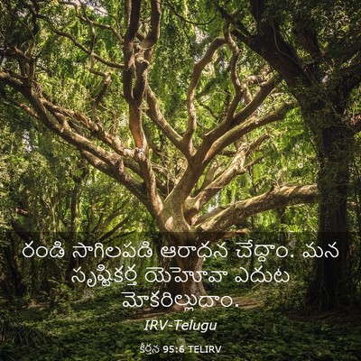 Picture 03 - కీర్తన 95:6 TELIRV - రండి సాగిలపడి - Bible Verse Picture