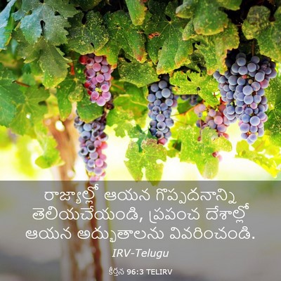 Picture 03 - కీర్తన 96:3 TELIRV - రాజ్యాల్లో ఆయన - Bible Verse Picture