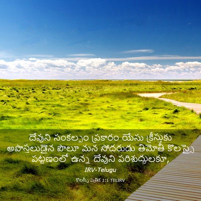 Picture 03 - కొలస్సీ పత్రిక 1:1 TELIRV - దేవుని సంకల్పం - Bible Verse Picture