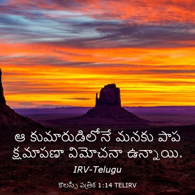 Picture 03 - కొలస్సీ పత్రిక 1:14 TELIRV - ఆ కుమారుడిలోనే - Bible Verse Picture