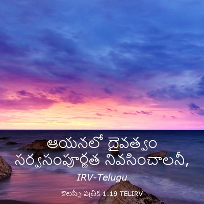 Picture 03 - కొలస్సీ పత్రిక 1:19 TELIRV - ఆయనలో దైవత్వం - Bible Verse Picture