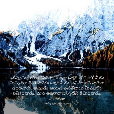 Picture 03 - కొలస్సీ పత్రిక 2:13 TELIRV - ఒకప్పుడు మీరు - Bible Verse Picture