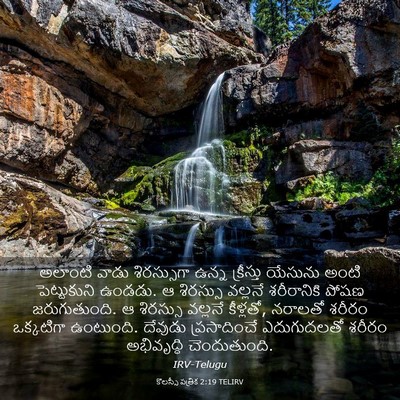 Picture 03 - కొలస్సీ పత్రిక 2:19 TELIRV - అలాంటి వాడు - Bible Verse Picture