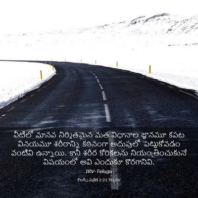 Picture 03 - కొలస్సీ పత్రిక 2:23 TELIRV - వీటిలో మానవ - Bible Verse Picture