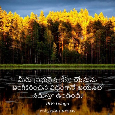 Picture 03 - కొలస్సీ పత్రిక 2:6 TELIRV - మీరు ప్రభువైన - Bible Verse Picture