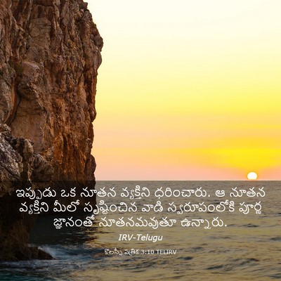 Picture 03 - కొలస్సీ పత్రిక 3:10 TELIRV - ఇప్పుడు ఒక నూతన - Bible Verse Picture