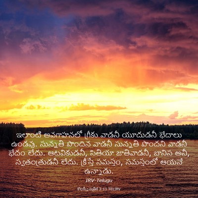 Picture 03 - కొలస్సీ పత్రిక 3:11 TELIRV - ఇలాంటి అవగాహనలో - Bible Verse Picture