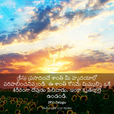 Picture 03 - కొలస్సీ పత్రిక 3:15 TELIRV - క్రీస్తు - Bible Verse Picture