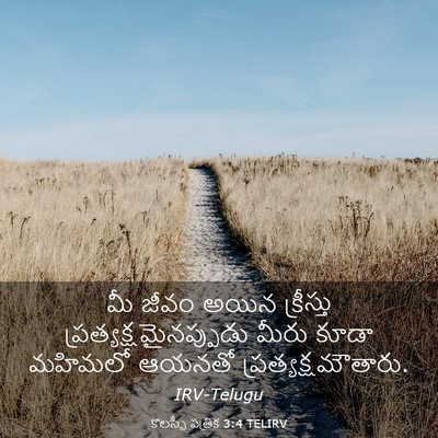 Picture 03 - కొలస్సీ పత్రిక 3:4 TELIRV - మీ జీవం అయిన - Bible Verse Picture