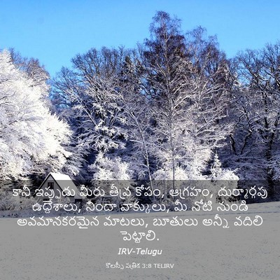 Picture 03 - కొలస్సీ పత్రిక 3:8 TELIRV - కానీ ఇప్పుడు మీరు - Bible Verse Picture