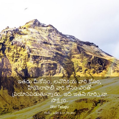 Picture 03 - కొలస్సీ పత్రిక 4:13 TELIRV - ఇతడు మీకోసం, - Bible Verse Picture