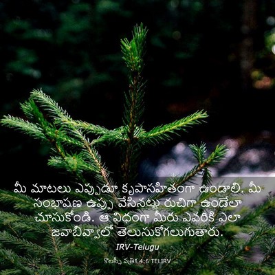 Picture 03 - కొలస్సీ పత్రిక 4:6 TELIRV - మీ మాటలు ఎప్పుడూ - Bible Verse Picture