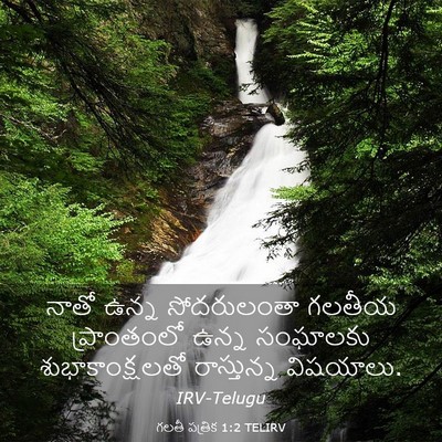 Picture 03 - గలతీ పత్రిక 1:2 TELIRV - నాతో ఉన్న - Bible Verse Picture