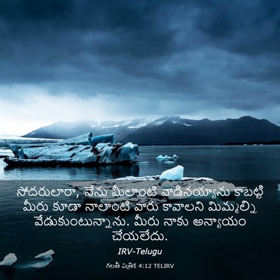 Picture 03 - గలతీ పత్రిక 4:12 TELIRV - సోదరులారా, నేను - Bible Verse Picture