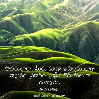 Picture 03 - గలతీ పత్రిక 4:28 TELIRV - సోదరులారా, మీరు - Bible Verse Picture