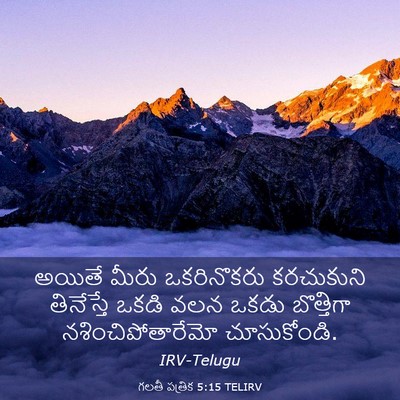 Picture 03 - గలతీ పత్రిక 5:15 TELIRV - అయితే మీరు - Bible Verse Picture