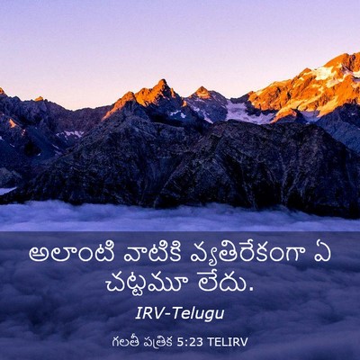 Picture 03 - గలతీ పత్రిక 5:23 TELIRV - అలాంటి వాటికి - Bible Verse Picture