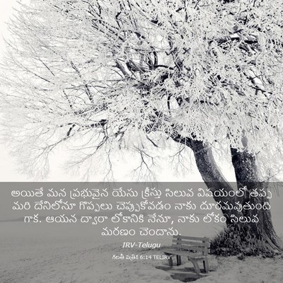 Picture 03 - గలతీ పత్రిక 6:14 TELIRV - అయితే మన ప్రభువైన - Bible Verse Picture