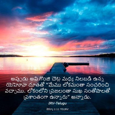 Picture 03 - జెకర్యా 1:11 TELIRV - అప్పుడు అవి గొంజి - Bible Verse Picture