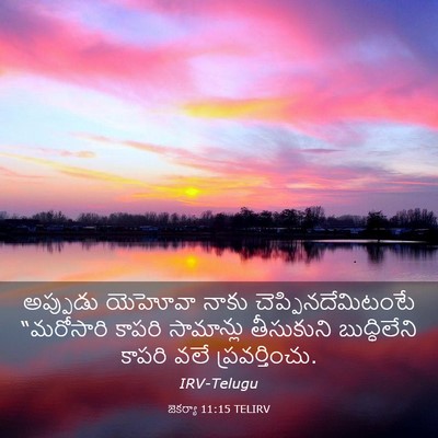 Picture 03 - జెకర్యా 11:15 TELIRV - అప్పుడు యెహోవా - Bible Verse Picture