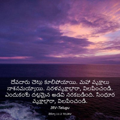 Picture 03 - జెకర్యా 11:2 TELIRV - దేవదారు చెట్లు - Bible Verse Picture