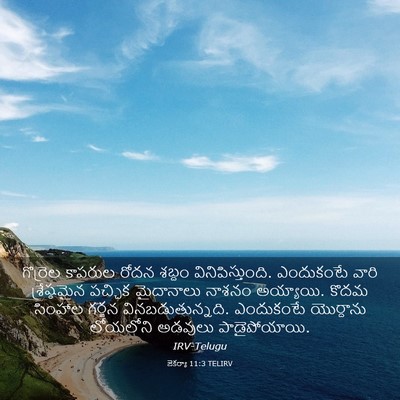 Picture 03 - జెకర్యా 11:3 TELIRV - గొర్రెల కాపరుల - Bible Verse Picture
