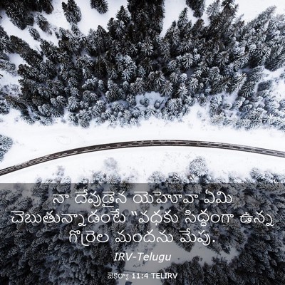 Picture 03 - జెకర్యా 11:4 TELIRV - నా దేవుడైన యెహోవా - Bible Verse Picture