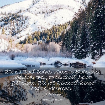 Picture 03 - జెకర్యా 11:8 TELIRV - నేను ఒక నెలలో - Bible Verse Picture