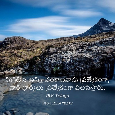 Picture 03 - జెకర్యా 12:14 TELIRV - మిగిలిన అన్ని - Bible Verse Picture