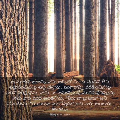 Picture 03 - జెకర్యా 13:9 TELIRV - ఆ మూడవ భాగాన్ని - Bible Verse Picture