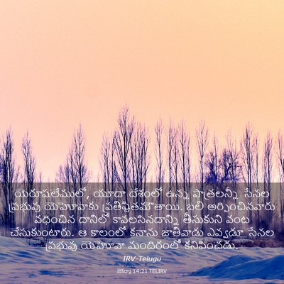 Picture 03 - జెకర్యా 14:21 TELIRV - యెరూషలేములో, యూదా - Bible Verse Picture