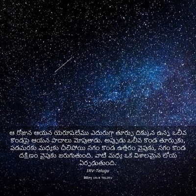 Picture 03 - జెకర్యా 14:4 TELIRV - ఆ రోజున ఆయన - Bible Verse Picture