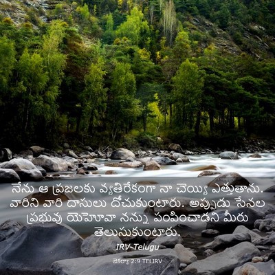 Picture 03 - జెకర్యా 2:9 TELIRV - నేను ఆ ప్రజలకు - Bible Verse Picture