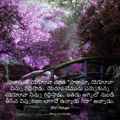 Picture 03 - జెకర్యా 3:2 TELIRV - సాతానుతో యెహోవా - Bible Verse Picture