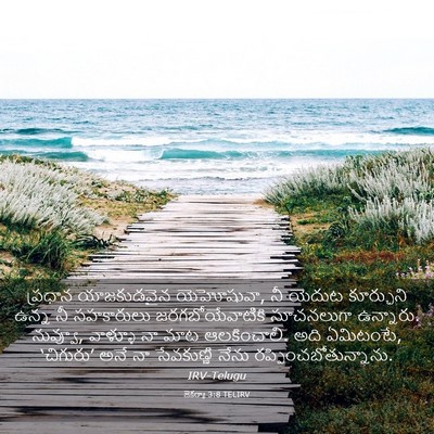 Picture 03 - జెకర్యా 3:8 TELIRV - ప్రధాన యాజకుడవైన - Bible Verse Picture