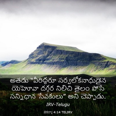 Picture 03 - జెకర్యా 4:14 TELIRV - అతడు “వీరిద్దరూ - Bible Verse Picture