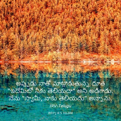 Picture 03 - జెకర్యా 4:5 TELIRV - అప్పుడు నాతో - Bible Verse Picture