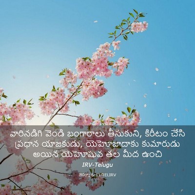 Picture 03 - జెకర్యా 6:11 TELIRV - వారినడిగి వెండి - Bible Verse Picture