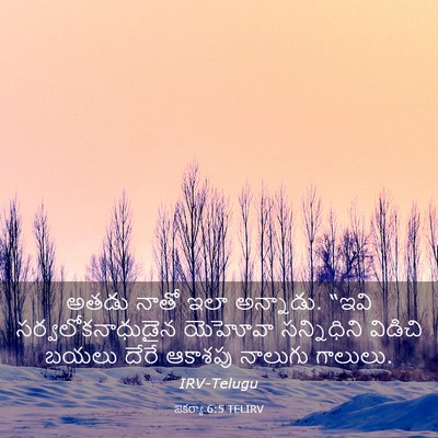 Picture 03 - జెకర్యా 6:5 TELIRV - అతడు నాతో ఇలా - Bible Verse Picture