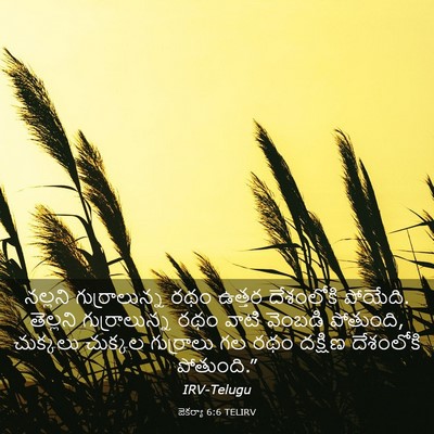 Picture 03 - జెకర్యా 6:6 TELIRV - నల్లని - Bible Verse Picture