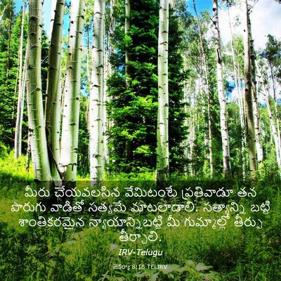 Picture 03 - జెకర్యా 8:16 TELIRV - మీరు చేయవలసిన - Bible Verse Picture