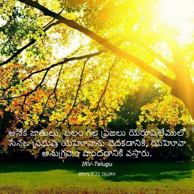 Picture 03 - జెకర్యా 8:22 TELIRV - అనేక జాతులు, బలం గల - Bible Verse Picture