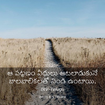 Picture 03 - జెకర్యా 8:5 TELIRV - ఆ పట్టణం వీధులు - Bible Verse Picture