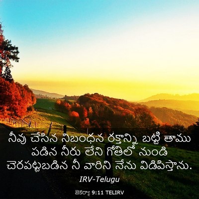 Picture 03 - జెకర్యా 9:11 TELIRV - నీవు చేసిన నిబంధన - Bible Verse Picture