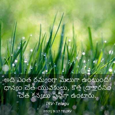 Picture 03 - జెకర్యా 9:17 TELIRV - అది ఎంత రమ్యంగా - Bible Verse Picture