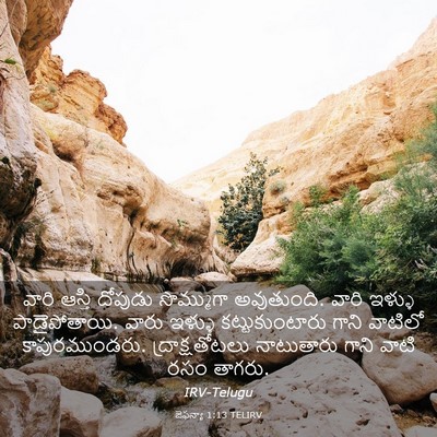 Picture 03 - జెఫన్యా 1:13 TELIRV - వారి ఆస్తి దోపుడు - Bible Verse Picture
