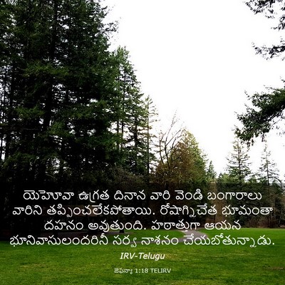 Picture 03 - జెఫన్యా 1:18 TELIRV - యెహోవా ఉగ్రత - Bible Verse Picture